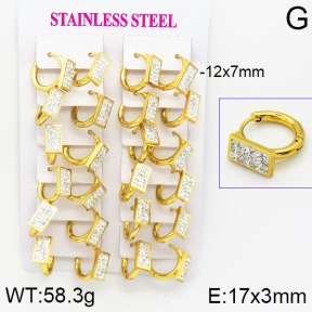 Stainless Steel Earrings  2E4001164bkab-446
