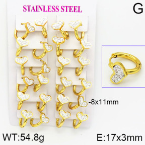 Stainless Steel Earrings  2E4001165bkab-446