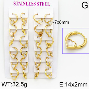 Stainless Steel Earrings  2E4001167ajma-446