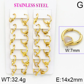 Stainless Steel Earrings  2E4001168ajma-446