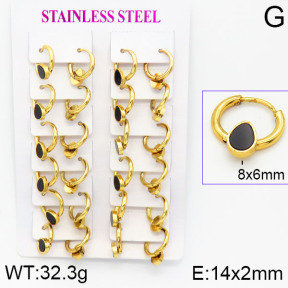 Stainless Steel Earrings  2E4001169ajma-446