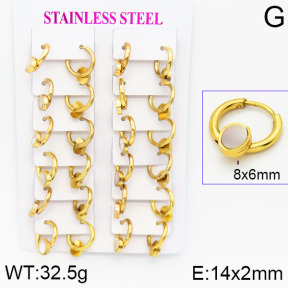 Stainless Steel Earrings  2E4001170ajma-446