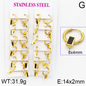 Stainless Steel Earrings  2E4001171ajma-446