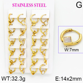 Stainless Steel Earrings  2E4001172ajma-446