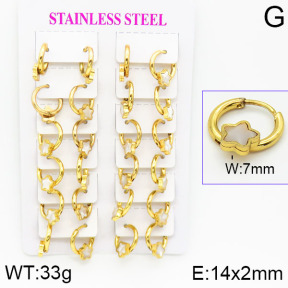 Stainless Steel Earrings  2E4001174ajma-446
