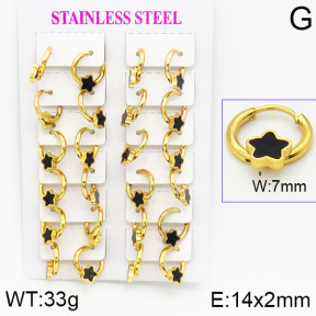 Stainless Steel Earrings  2E4001175ajma-446
