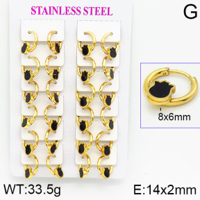 Stainless Steel Earrings  2E4001176ajma-446