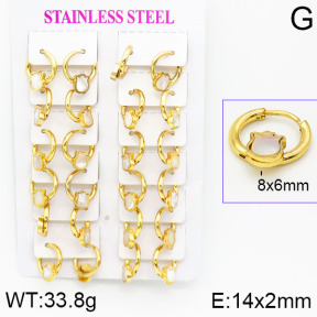 Stainless Steel Earrings  2E4001177ajma-446