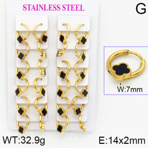 Stainless Steel Earrings  2E4001178ajma-446