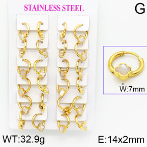 Stainless Steel Earrings  2E4001179ajma-446