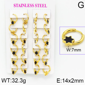 Stainless Steel Earrings  2E4001180ajma-446