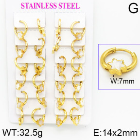 Stainless Steel Earrings  2E4001181ajma-446