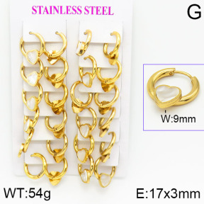 Stainless Steel Earrings  2E4001183ajma-446