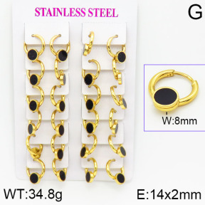 Stainless Steel Earrings  2E4001184ajma-446