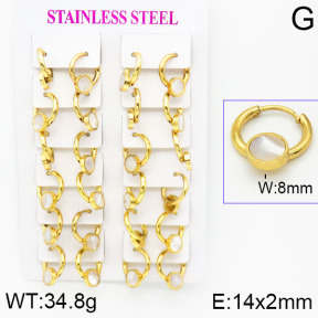Stainless Steel Earrings  2E4001185ajma-446