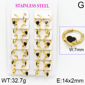 Stainless Steel Earrings  2E4001186ajma-446