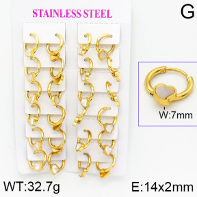 Stainless Steel Earrings  2E4001187ajma-446