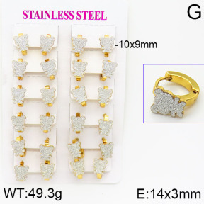 Stainless Steel Earrings  2E5000002ajma-446