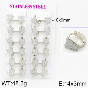 Stainless Steel Earrings  2E5000003bjja-446