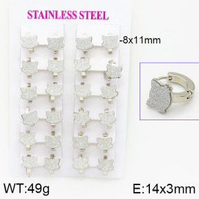 Stainless Steel Earrings  2E5000004bjja-446