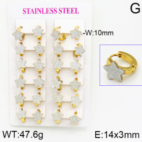 Stainless Steel Earrings  2E5000006ajma-446