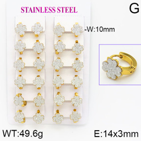 Stainless Steel Earrings  2E5000007ajma-446