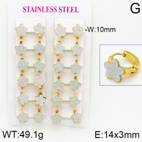 Stainless Steel Earrings  2E5000008ajma-446