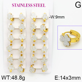 Stainless Steel Earrings  2E5000009ajma-446