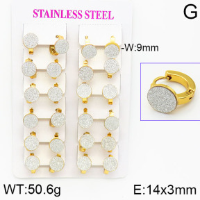 Stainless Steel Earrings  2E5000010ajma-446