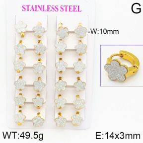 Stainless Steel Earrings  2E5000011ajma-446