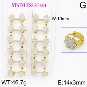 Stainless Steel Earrings  2E5000012ajma-446