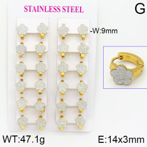 Stainless Steel Earrings  2E5000013ajma-446