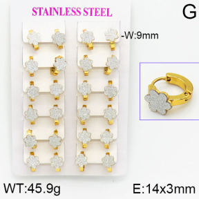 Stainless Steel Earrings  2E5000014ajma-446