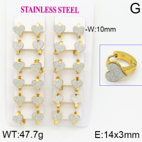 Stainless Steel Earrings  2E5000015ajma-446
