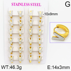 Stainless Steel Earrings  2E5000016ajma-446