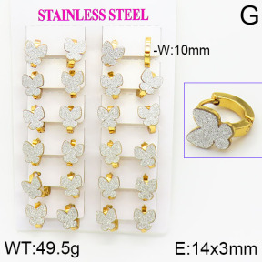 Stainless Steel Earrings  2E5000018ajma-446
