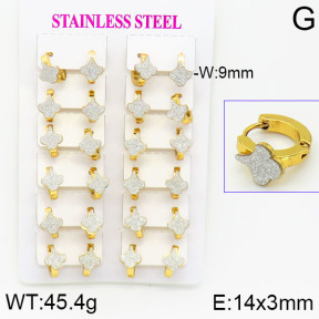 Stainless Steel Earrings  2E5000019ajma-446