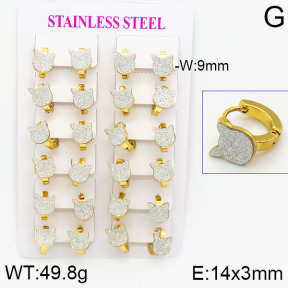 Stainless Steel Earrings  2E5000020ajma-446