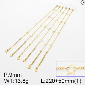 Stainless Steel Anklets  5A9000472vihb-389