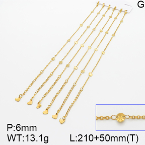 Stainless Steel Anklets  5A9000477vihb-389
