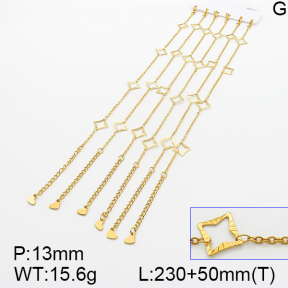 Stainless Steel Anklets  5A9000480vihb-389