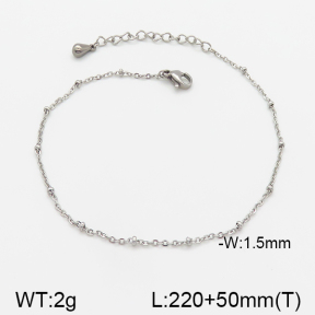 Stainless Steel Anklets  5A9000484aahl-369