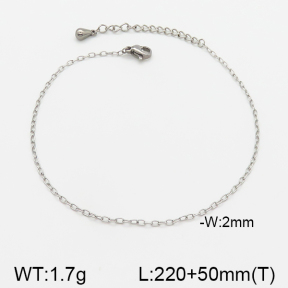 Stainless Steel Anklets  5A9000486aahl-369