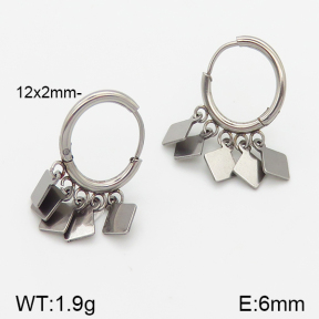 Stainless Steel Earrings  5E2001252vbnb-738
