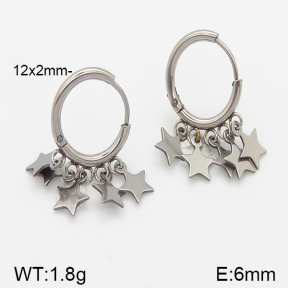 Stainless Steel Earrings  5E2001256vbnb-738