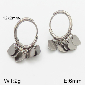 Stainless Steel Earrings  5E2001258vbnb-738