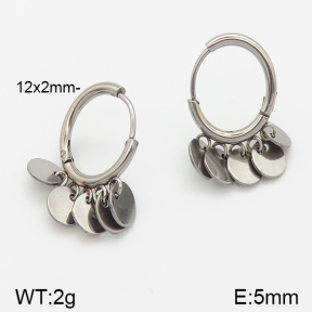Stainless Steel Earrings  5E2001260vbnb-738