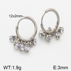 Stainless Steel Earrings  5E4001049vbnl-738