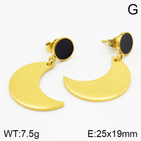 Stainless Steel Earrings  2E4001199vbpb-628