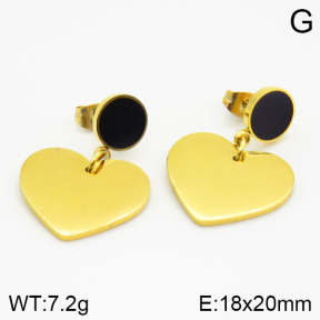 Stainless Steel Earrings  2E4001200vbpb-628